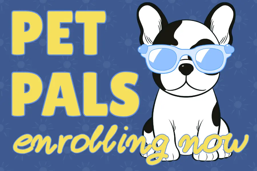 blue background with yellow words 'Pet Pals enrolling now' and graphic of black and white dog with blue sunglasses.